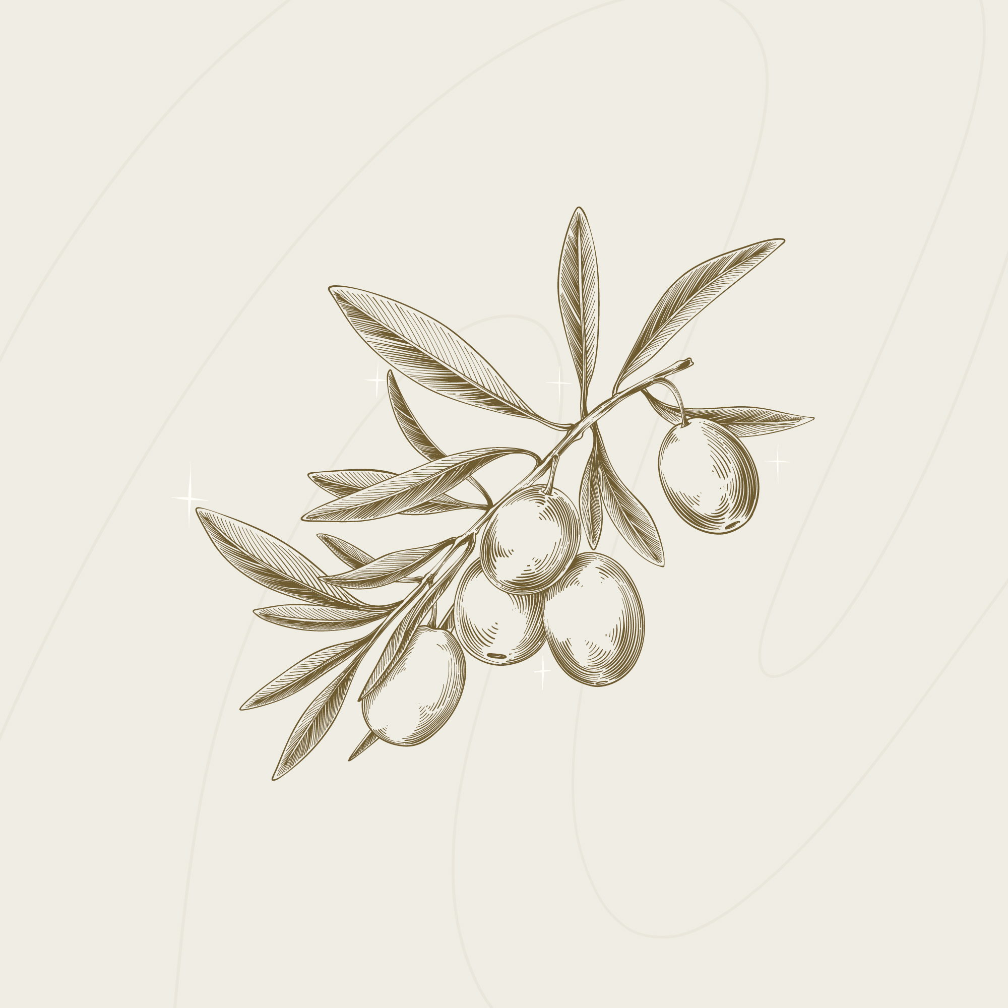 ACEITE DE OLIVA